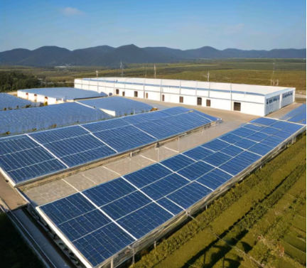 冷庫使用光伏發(fā)電:綠色能源的新選擇