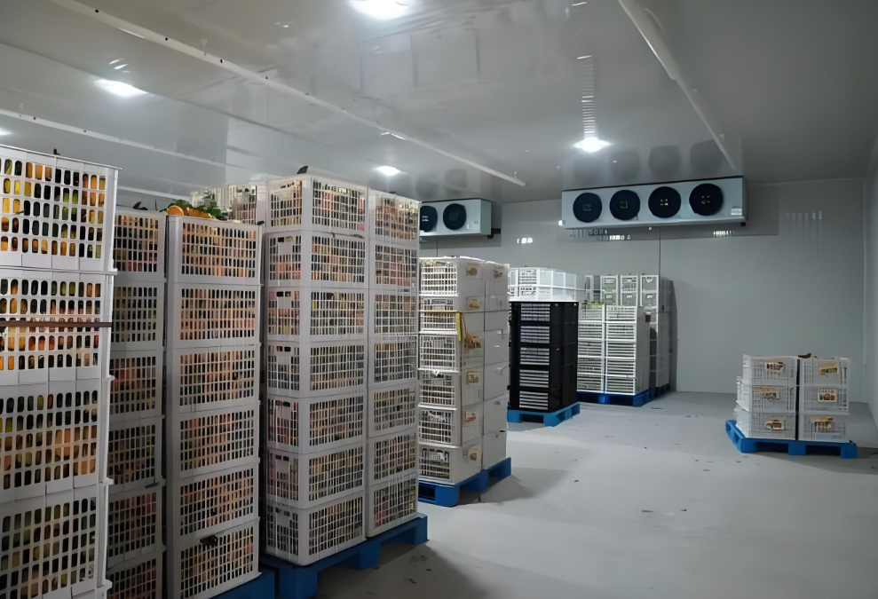 冷庫中貨物堆碼高度有限制嗎，依據(jù)是什么？